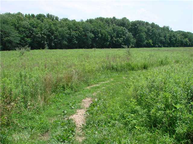 0 West Road West Jefferson, OH 43162 - Photo 2 of 5