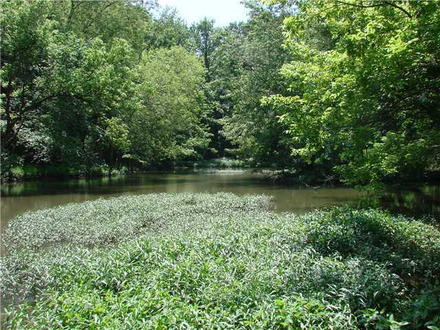 0 West Road West Jefferson, OH 43162 - Photo 4 of 5