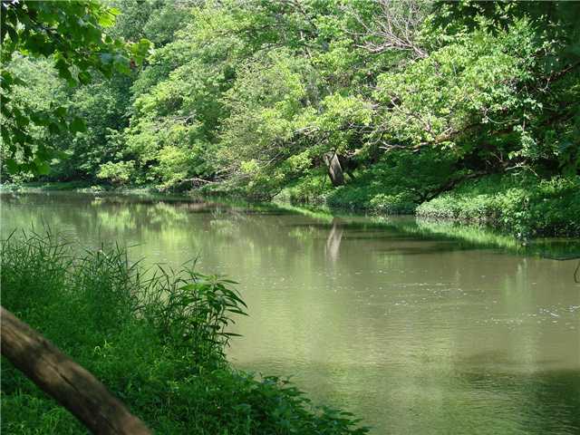 0 West Road West Jefferson, OH 43162 - Photo 5 of 5