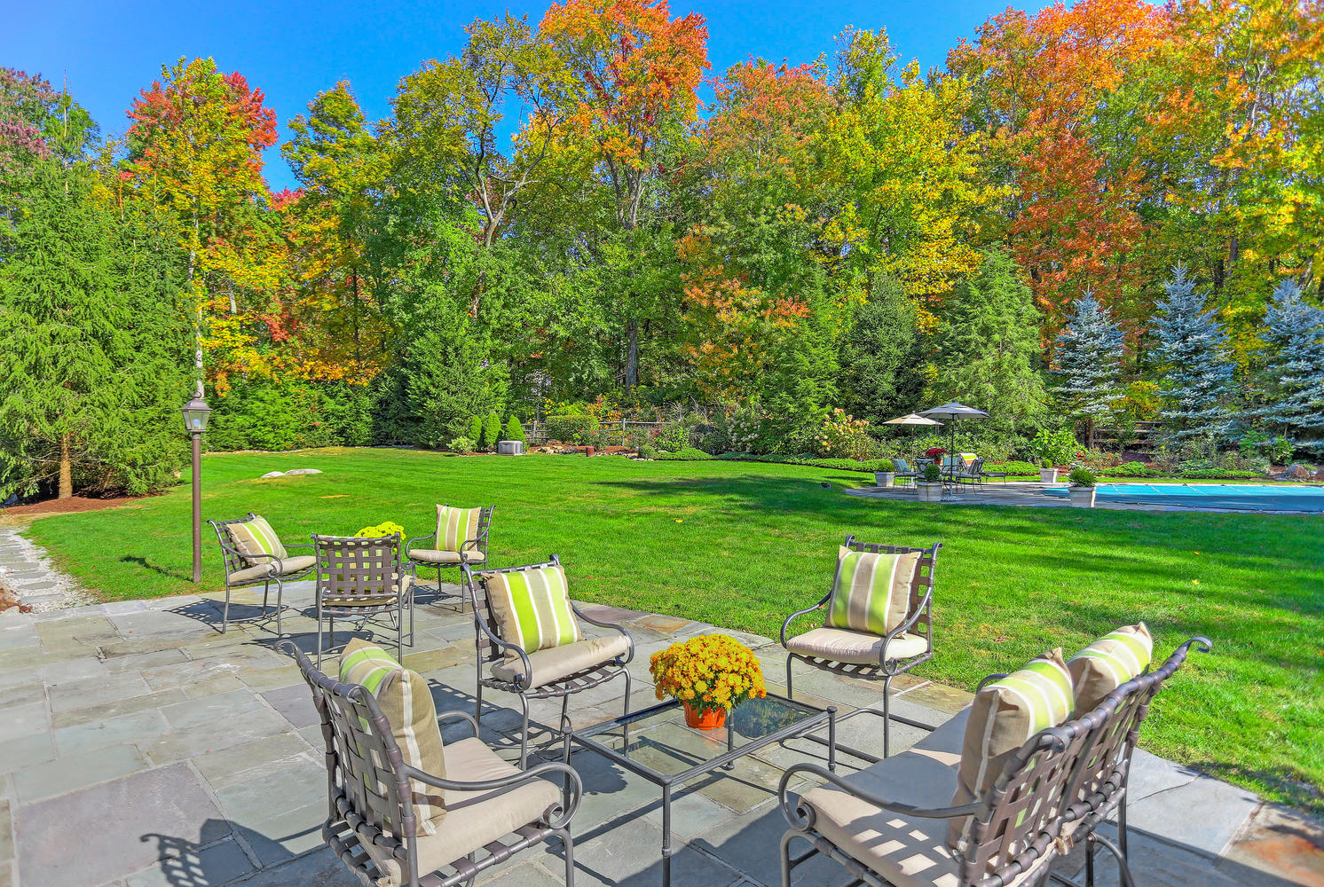 231 Turtle Back Road New Canaan, CT 06840 - Photo 10 of 22 a view of yard with seating area and yard