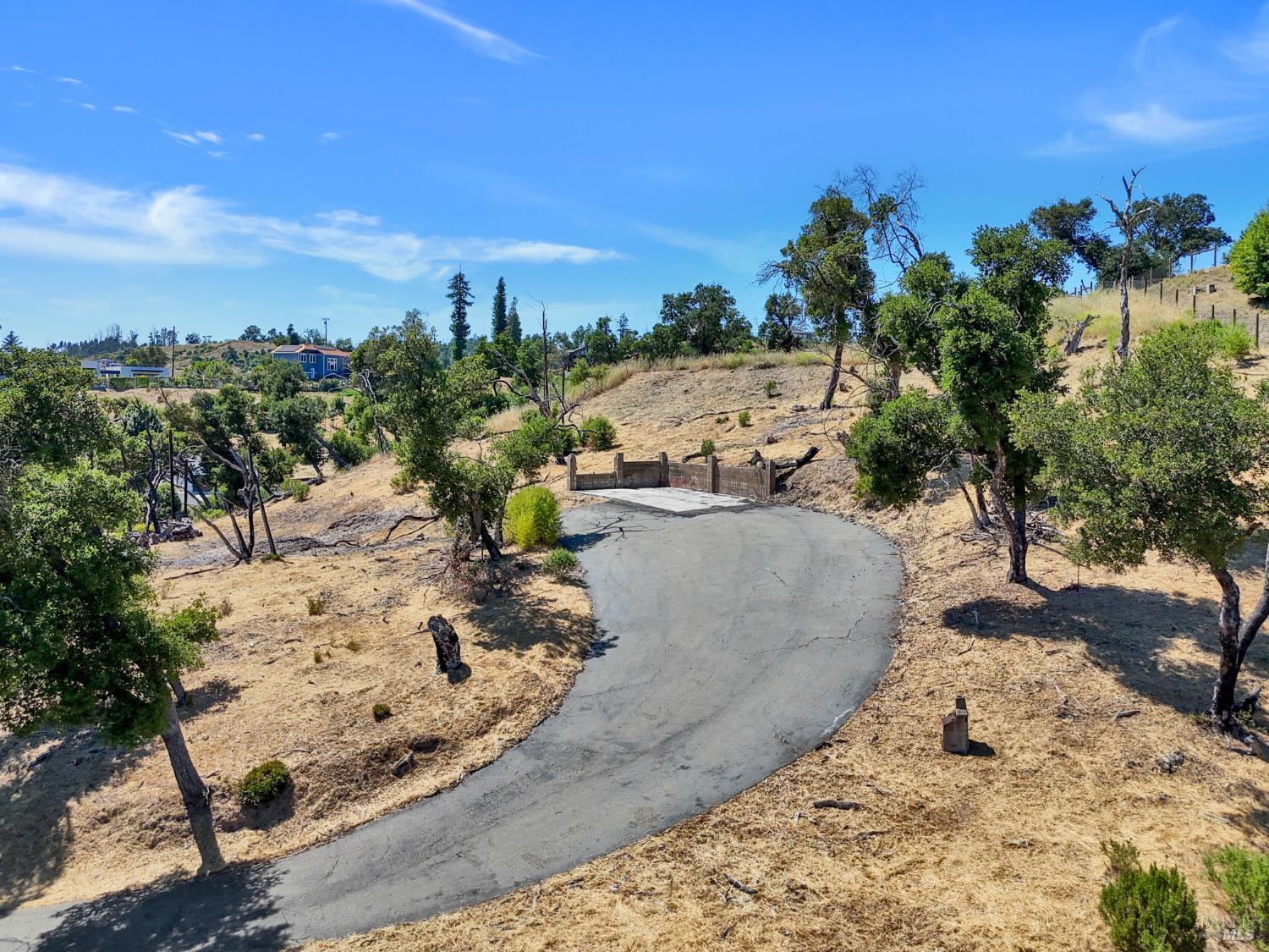 1400 Michele Way Santa Rosa, CA 95404 - Photo 35 of 35 a view of a yard with an tree