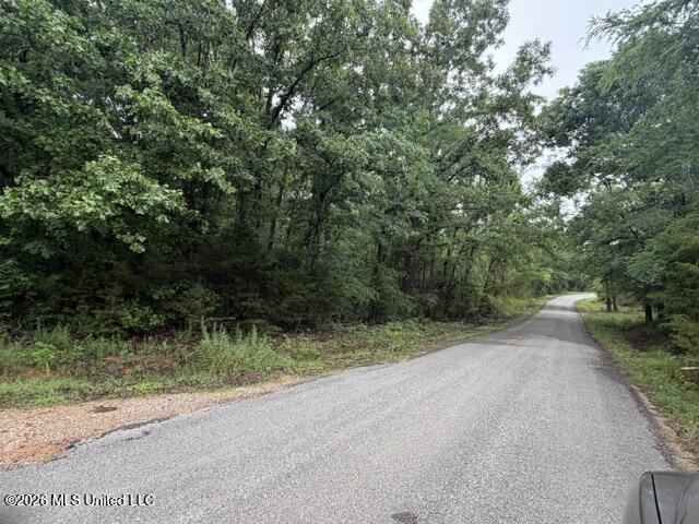 0 Broadway Road Potts Camp, MS 38659 - Photo 4 of 5 IMG_0646