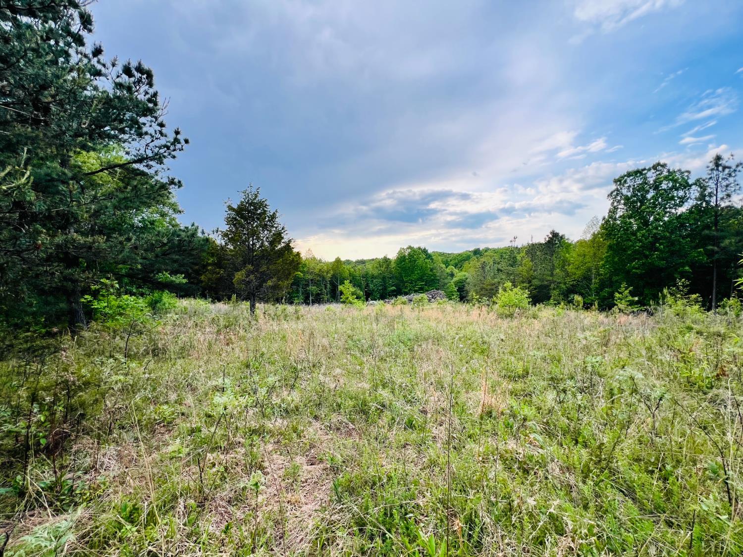 0 Wards Road Lynchburg, VA 24502 - Photo 5 of 11 Gallery Image 5