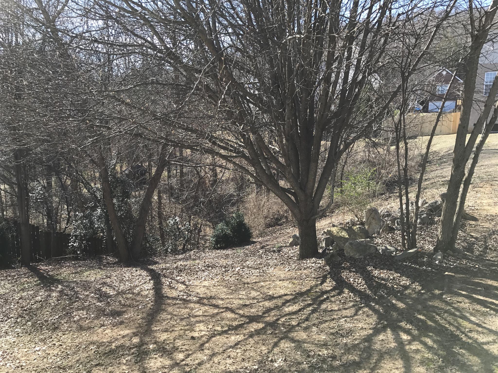 1493 Timber Ridge Circle Nashville, TN 37211 - Photo 18 of 18 Wooded common area provides nice privacy.