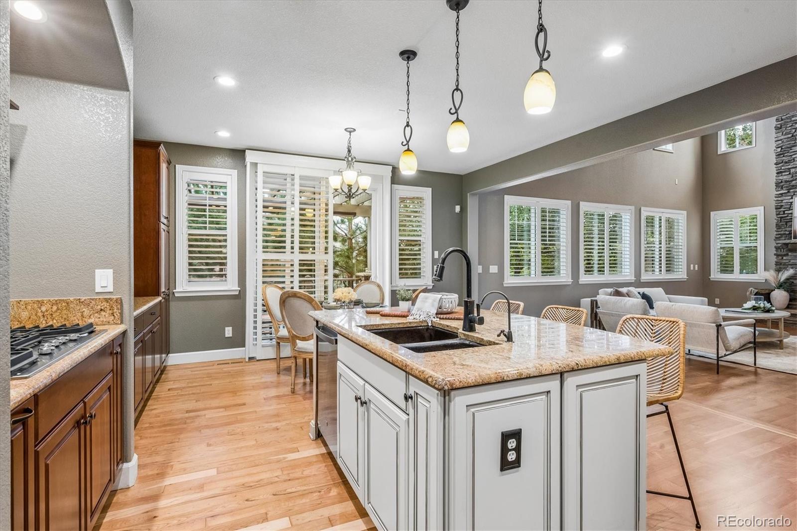 4395 Cedarpoint Place Highlands Ranch, CO 80130 - Photo 10 of 50 Gallery Image 10
