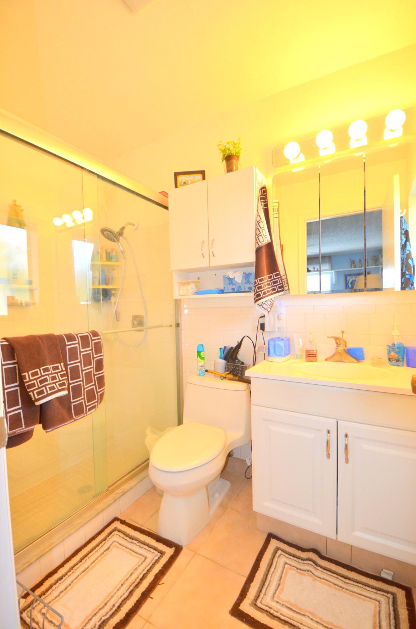 10695 Eland Street Boca Raton, FL 33428 - Photo 22 of 25 Master Bathroom