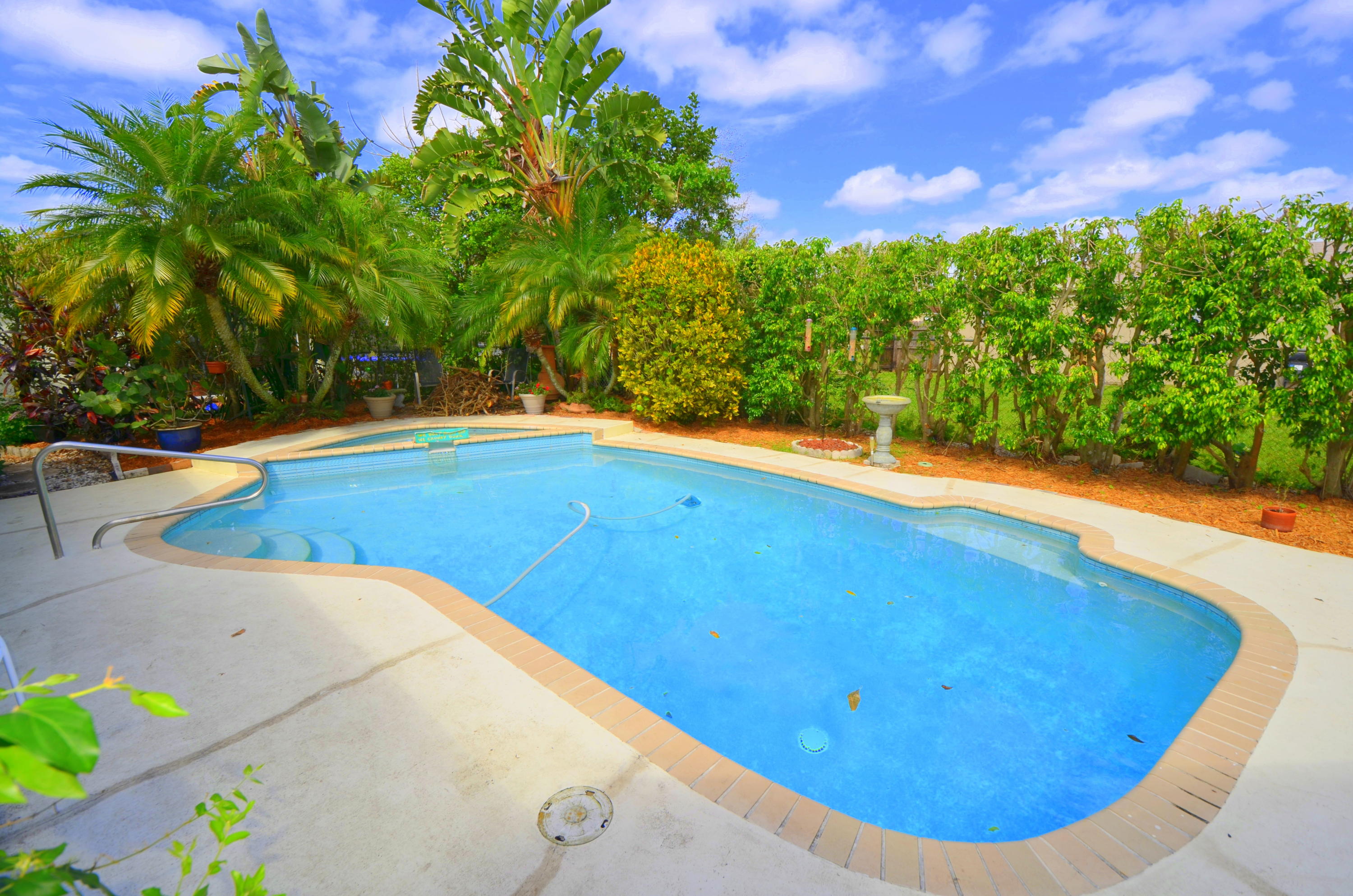 10695 Eland Street Boca Raton, FL 33428 - Photo 6 of 25 Pool