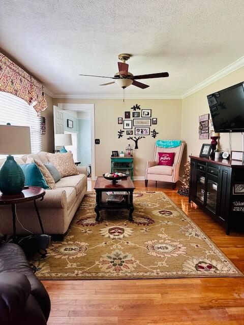 271 Otis Road Walterboro, SC 29488 - Photo 9 of 25 Hutto Living Room 3