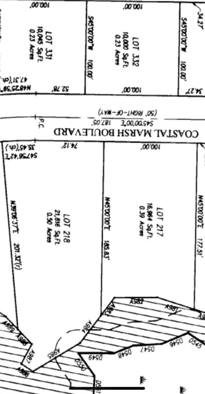 Lot 217 Coastal Marsh Boulevard Waverly, GA 31565 - Photo 15 of 15