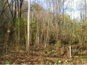 1 Marion Branch Road Elizabethton, TN 37643 - Photo 1 of 5 Photo 1