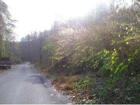 1 Marion Branch Road Elizabethton, TN 37643 - Photo 2 of 5 Photo 2