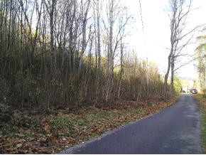 1 Marion Branch Road Elizabethton, TN 37643 - Photo 3 of 5 Photo 3