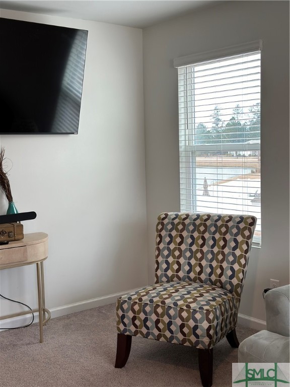 103 Skylark Road Bloomingdale, GA 31302 - Photo 23 of 36