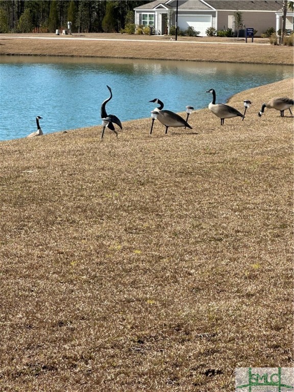 103 Skylark Road Bloomingdale, GA 31302 - Photo 34 of 36 geese
