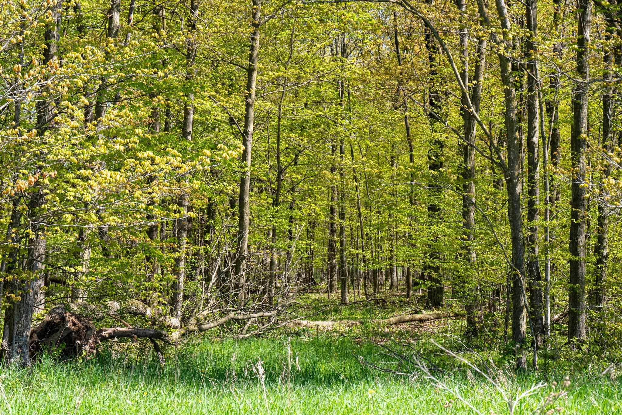 County Road Sturgeon Bay, WI 54235 - Photo 14 of 23