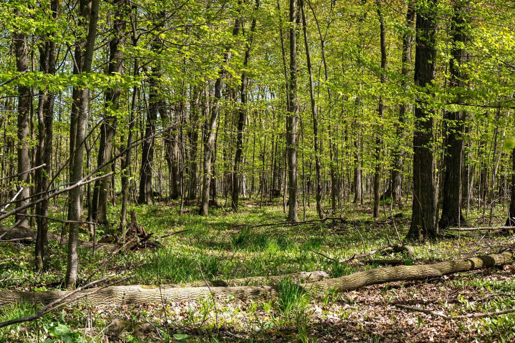 County Road Sturgeon Bay, WI 54235 - Photo 15 of 23