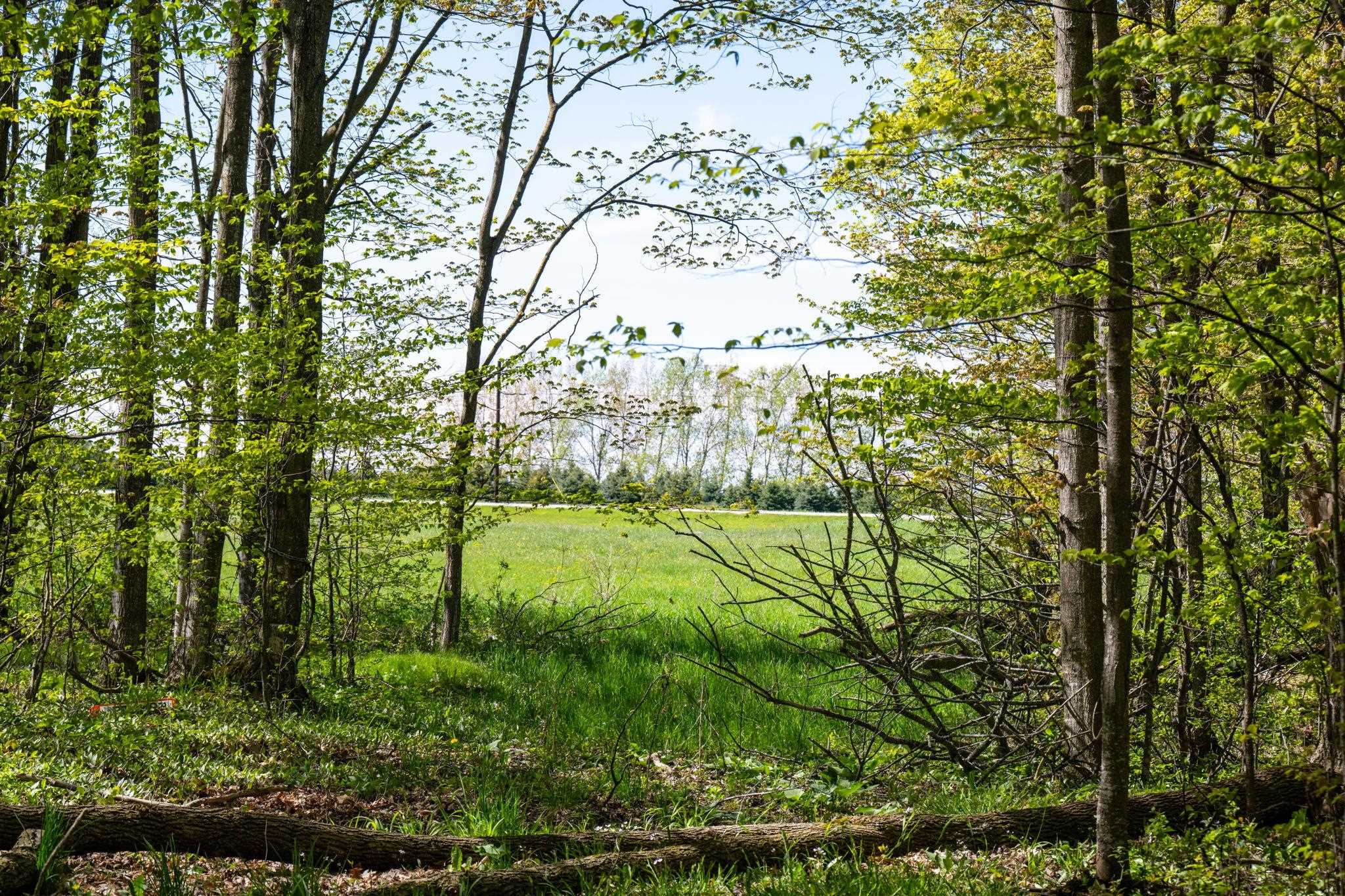 County Road Sturgeon Bay, WI 54235 - Photo 18 of 23