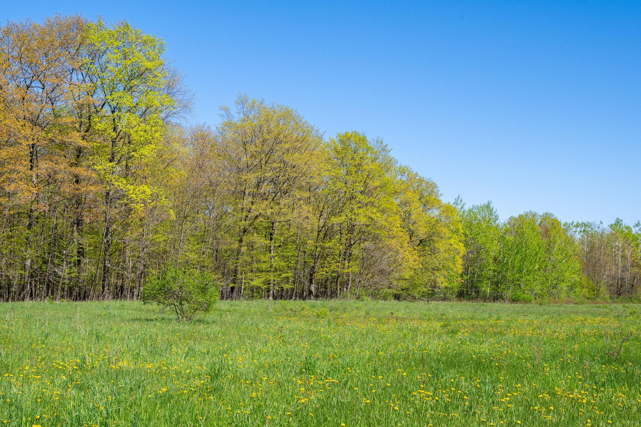 County Road Sturgeon Bay, WI 54235 - Photo 20 of 23