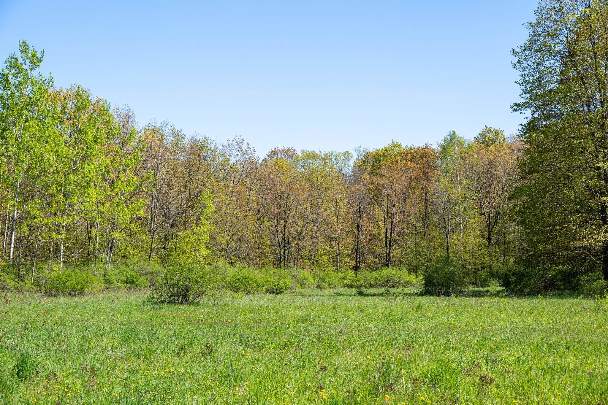 County Road Sturgeon Bay, WI 54235 - Photo 22 of 23