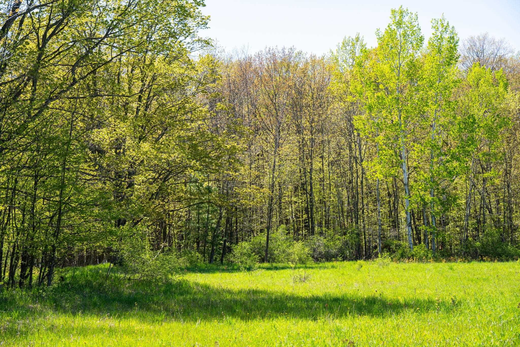 County Road Sturgeon Bay, WI 54235 - Photo 23 of 23