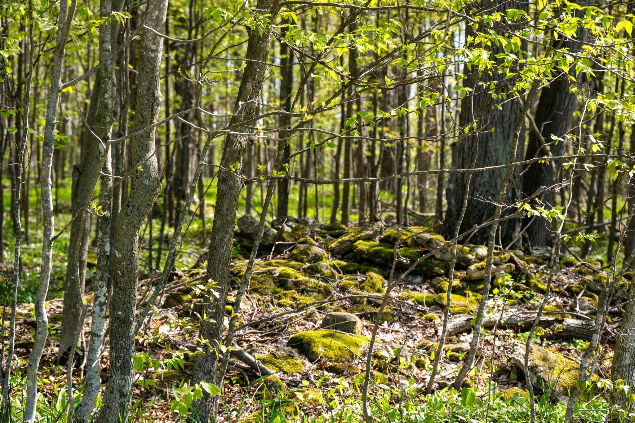 County Road Sturgeon Bay, WI 54235 - Photo 3 of 23