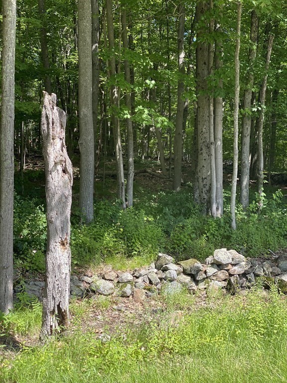 Lot 1 Munn Road Monson, MA 01057 - Photo 8 of 12 Gallery Image 8
