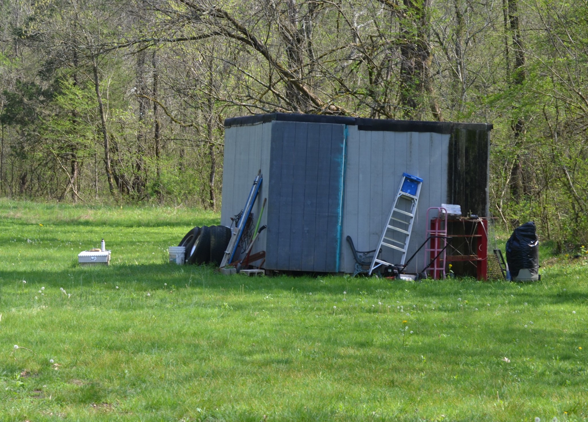 151 Oak Lane Pulaski, TN 38478 - Photo 15 of 19 a view of a backyard with a barn and a slide