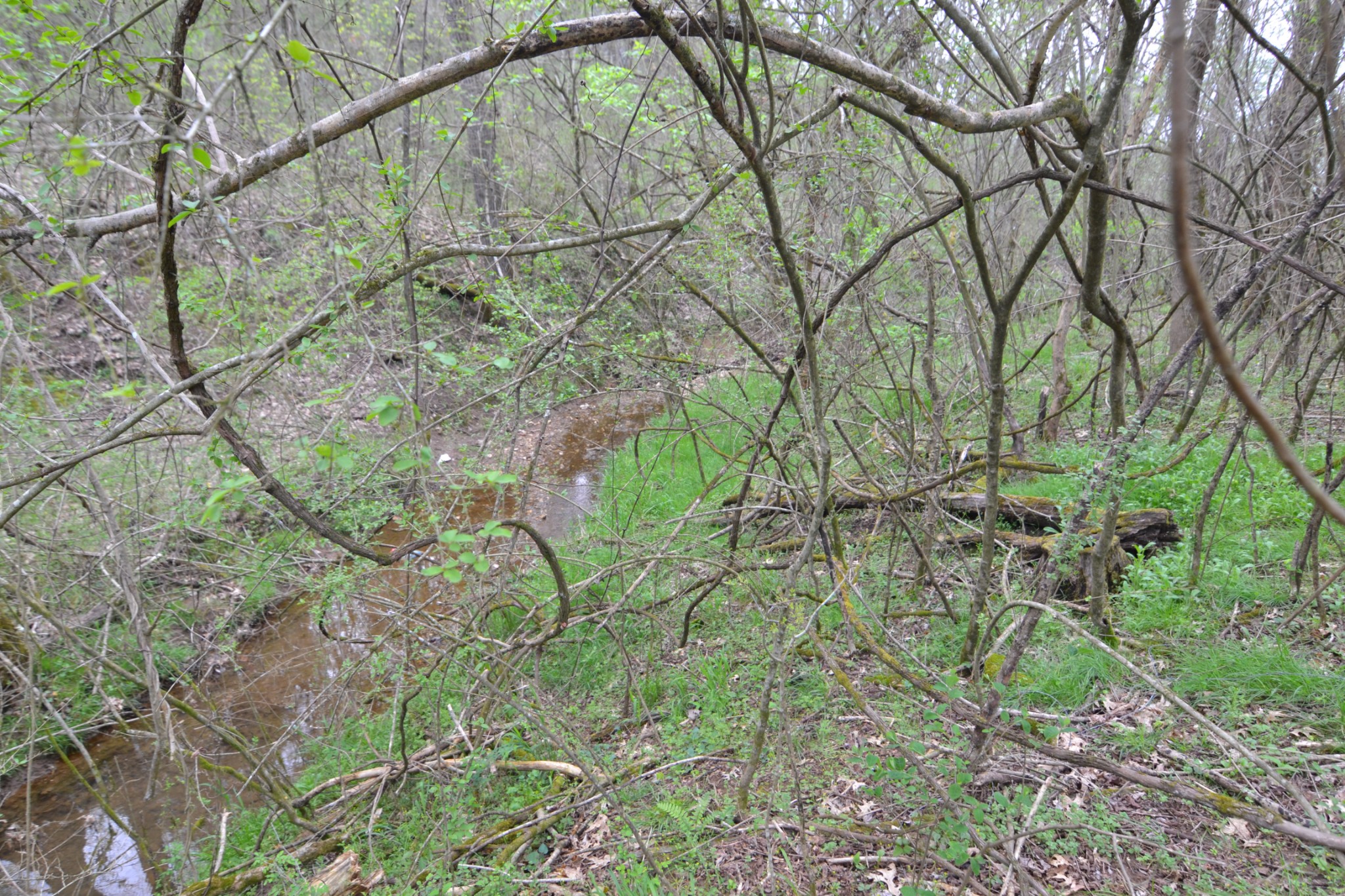151 Oak Lane Pulaski, TN 38478 - Photo 17 of 19 a backyard of a house