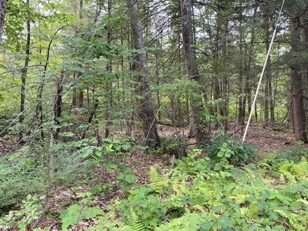 408-77-5 New Athol Road Petersham, MA 01366 - Photo 1 of 1 Gallery Image 1