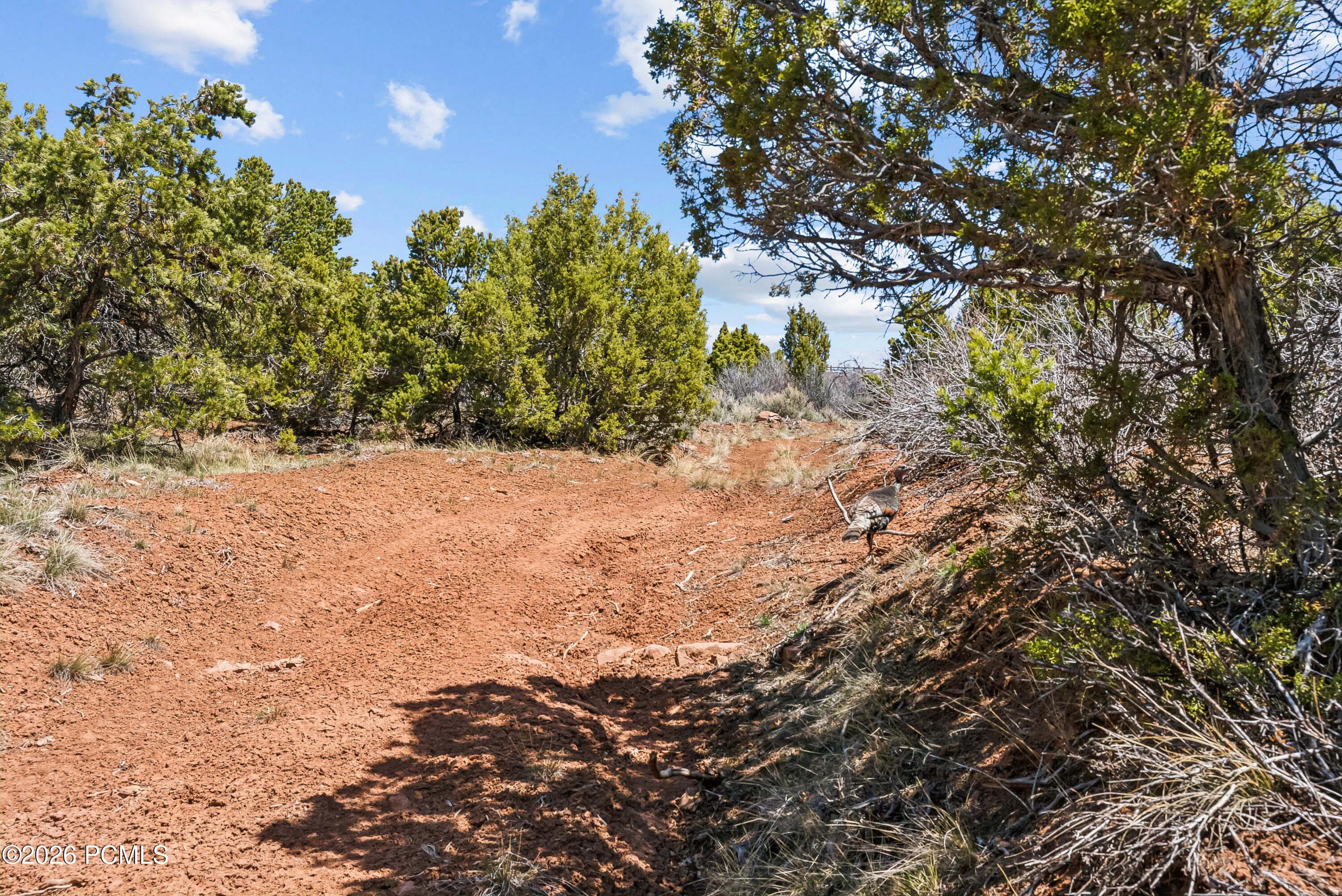 46997 Thunder Ridge Road Fruitland, UT 84027 - Photo 23 of 30