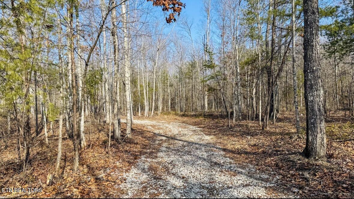 245 Old Beaty Pvt Road Winfield, TN 37892 - Photo 12 of 17 IMG_1293