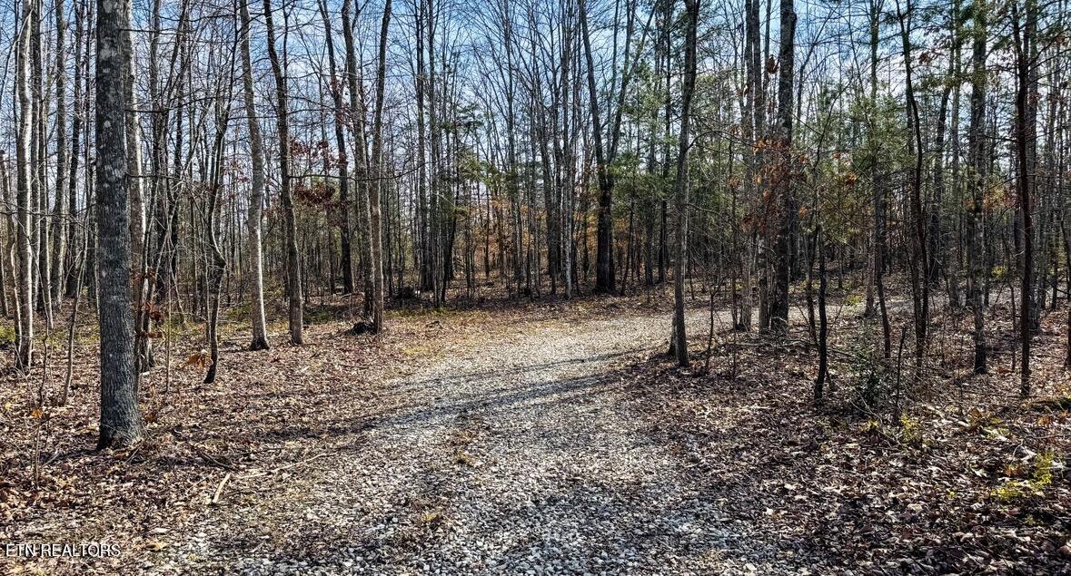 245 Old Beaty Pvt Road Winfield, TN 37892 - Photo 13 of 17 IMG_1291