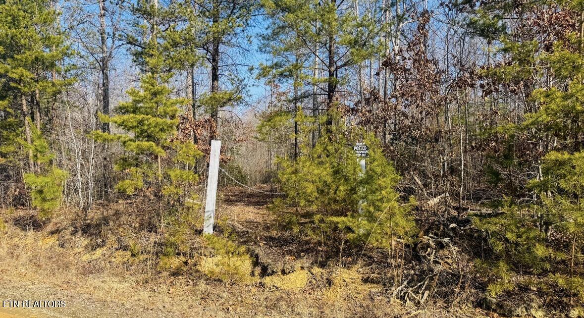 245 Old Beaty Pvt Road Winfield, TN 37892 - Photo 15 of 17 IMG_1282