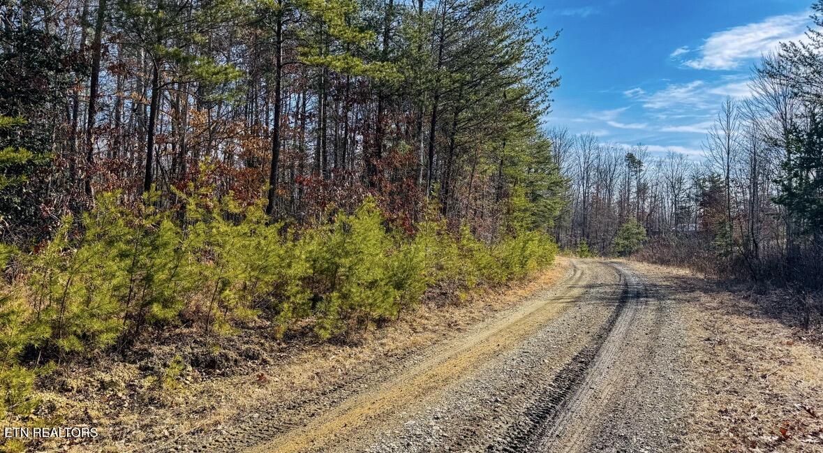 245 Old Beaty Pvt Road Winfield, TN 37892 - Photo 16 of 17 IMG_1283