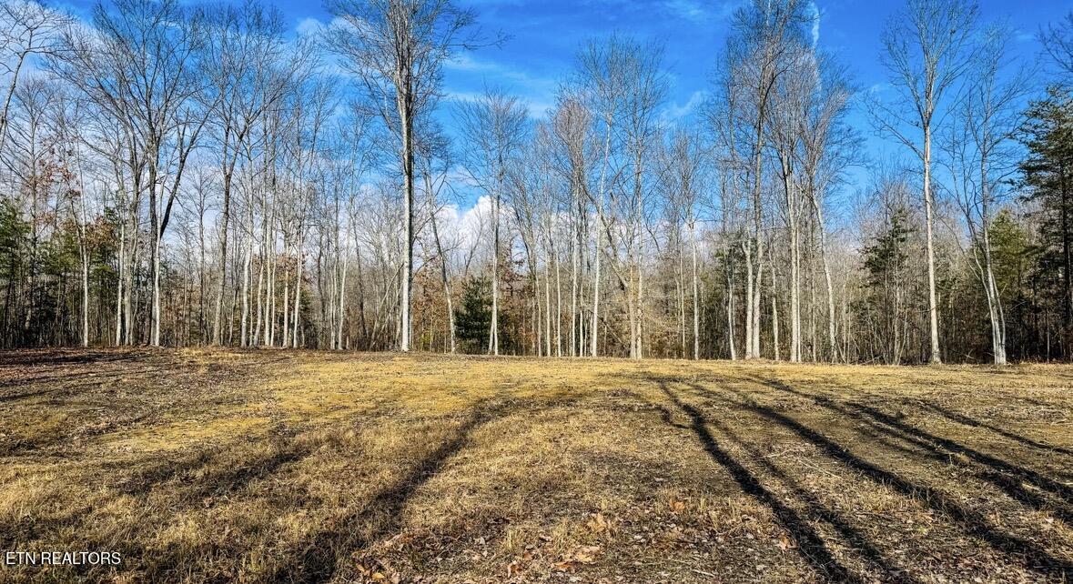 245 Old Beaty Pvt Road Winfield, TN 37892 - Photo 3 of 17 IMG_1297