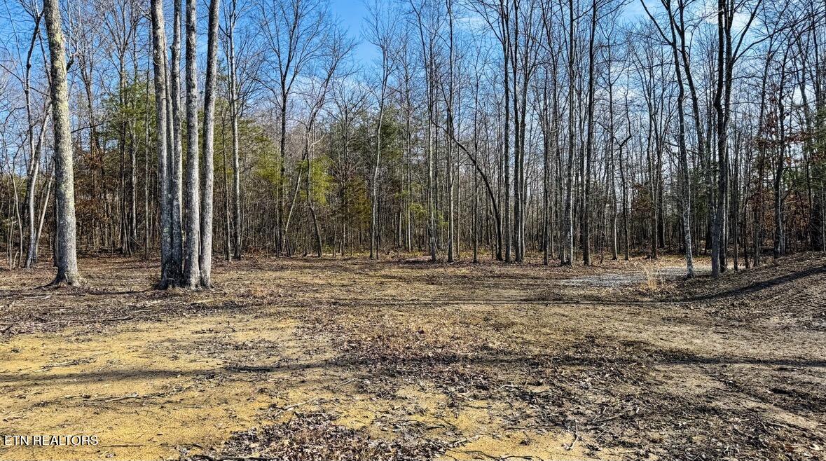 245 Old Beaty Pvt Road Winfield, TN 37892 - Photo 4 of 17 IMG_1294