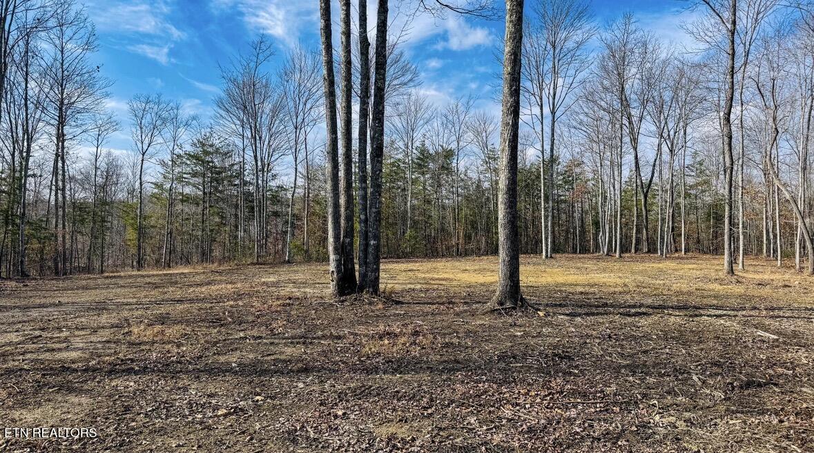 245 Old Beaty Pvt Road Winfield, TN 37892 - Photo 6 of 17 IMG_1289