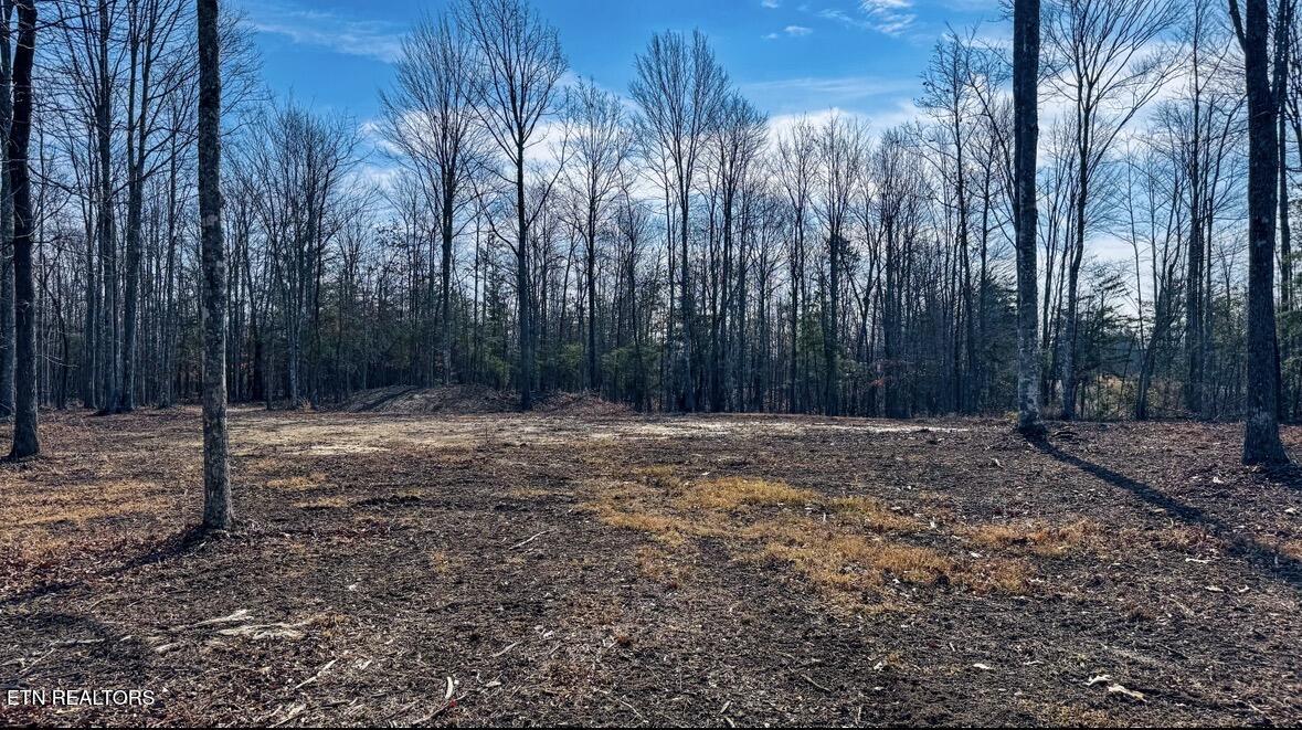 245 Old Beaty Pvt Road Winfield, TN 37892 - Photo 7 of 17 IMG_1287