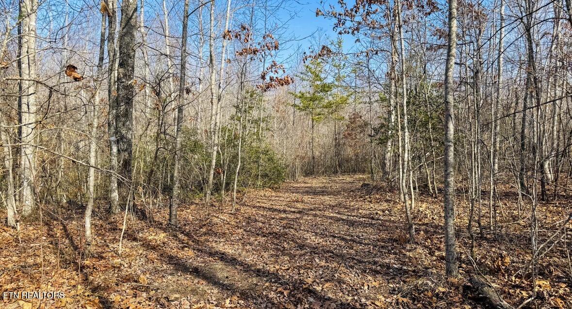 245 Old Beaty Pvt Road Winfield, TN 37892 - Photo 10 of 17 IMG_1284