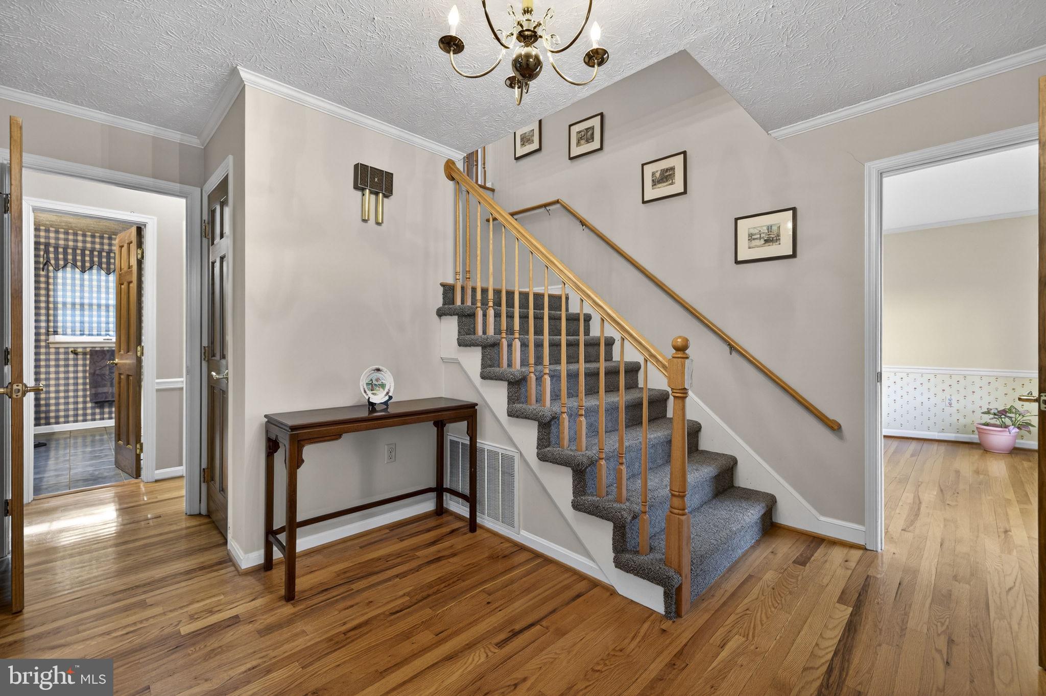 456 Marple Road Winchester, VA 22603 - Photo 12 of 84 Front entry