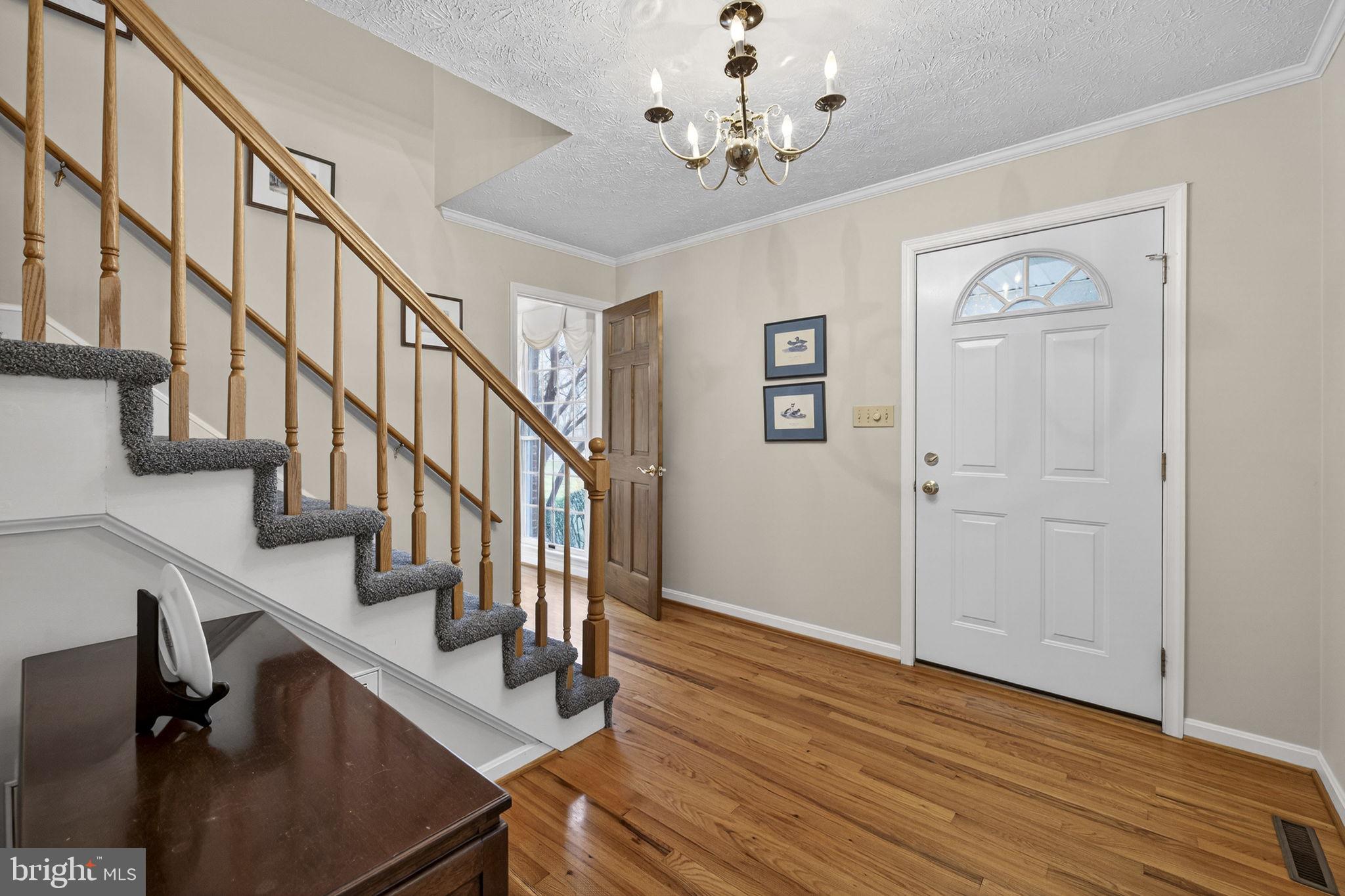 456 Marple Road Winchester, VA 22603 - Photo 13 of 84 Gleaming hardwood floors welcome you in