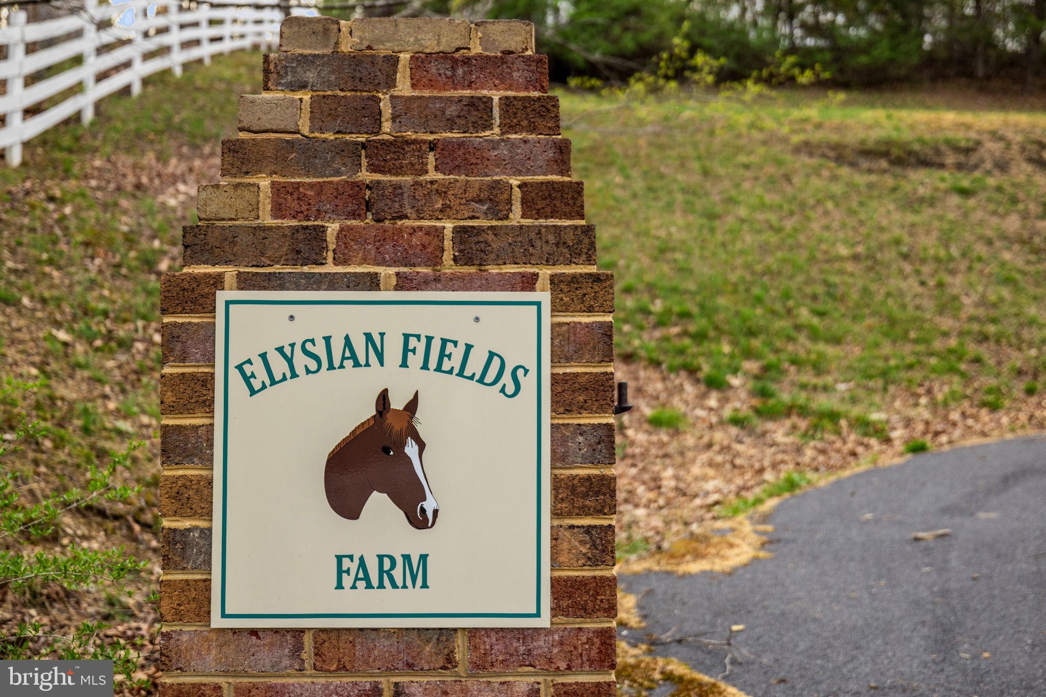 456 Marple Road Winchester, VA 22603 - Photo 5 of 84 The magnificent Elysian Fields Farm
