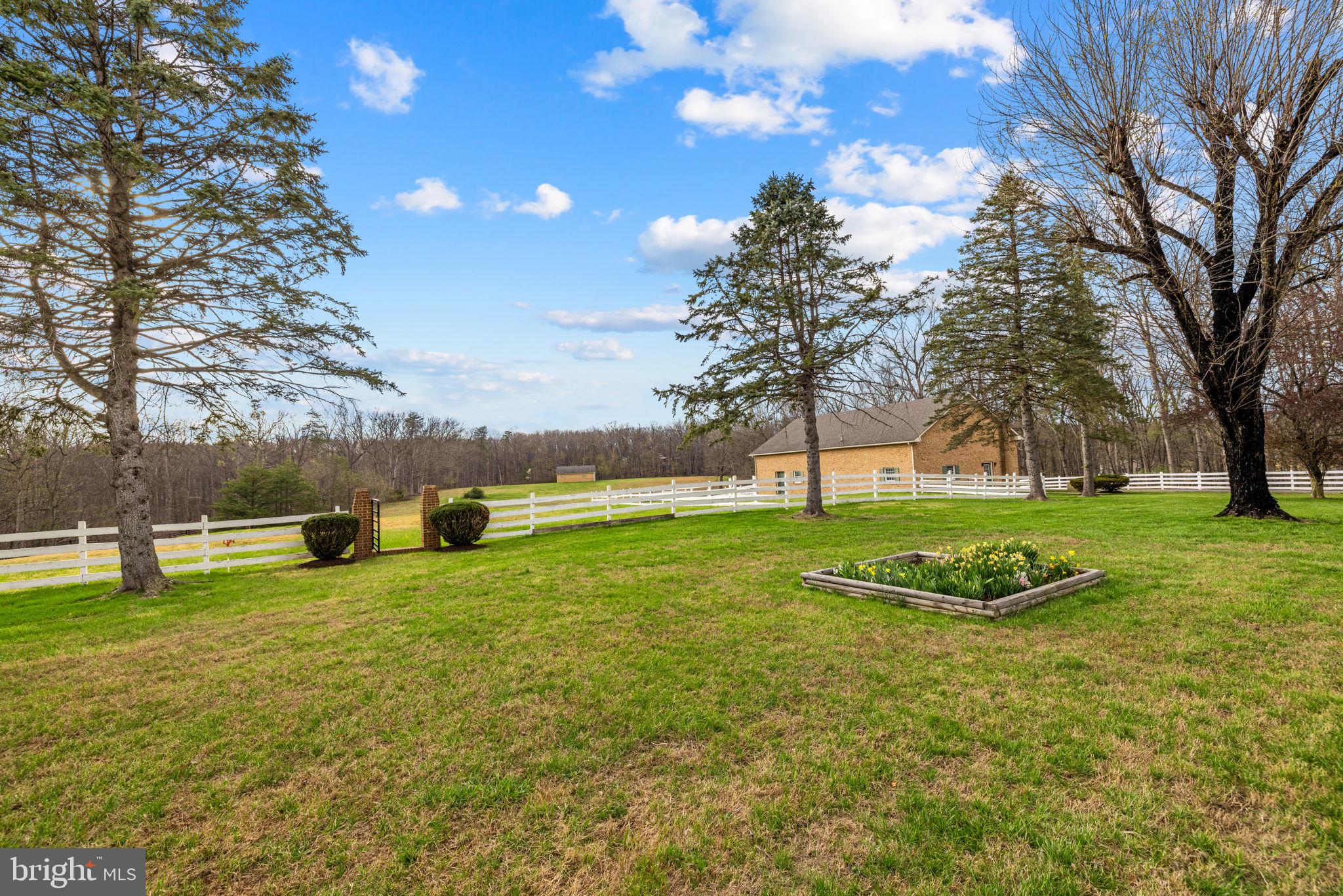 456 Marple Road Winchester, VA 22603 - Photo 59 of 84 Level backyard w/ raised garden bed & mature trees