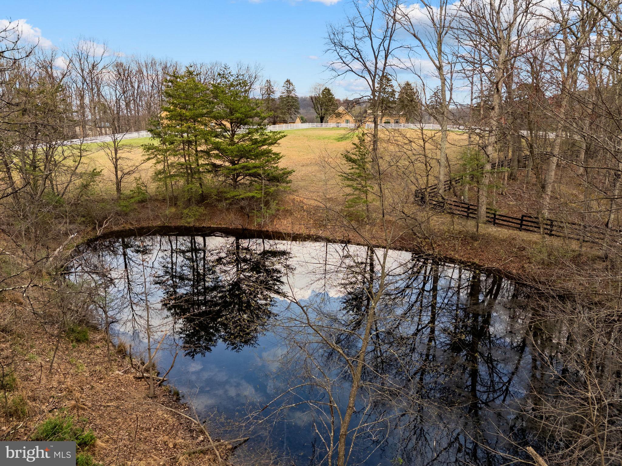 456 Marple Road Winchester, VA 22603 - Photo 74 of 84 Peaceful mirror-like pond on the property