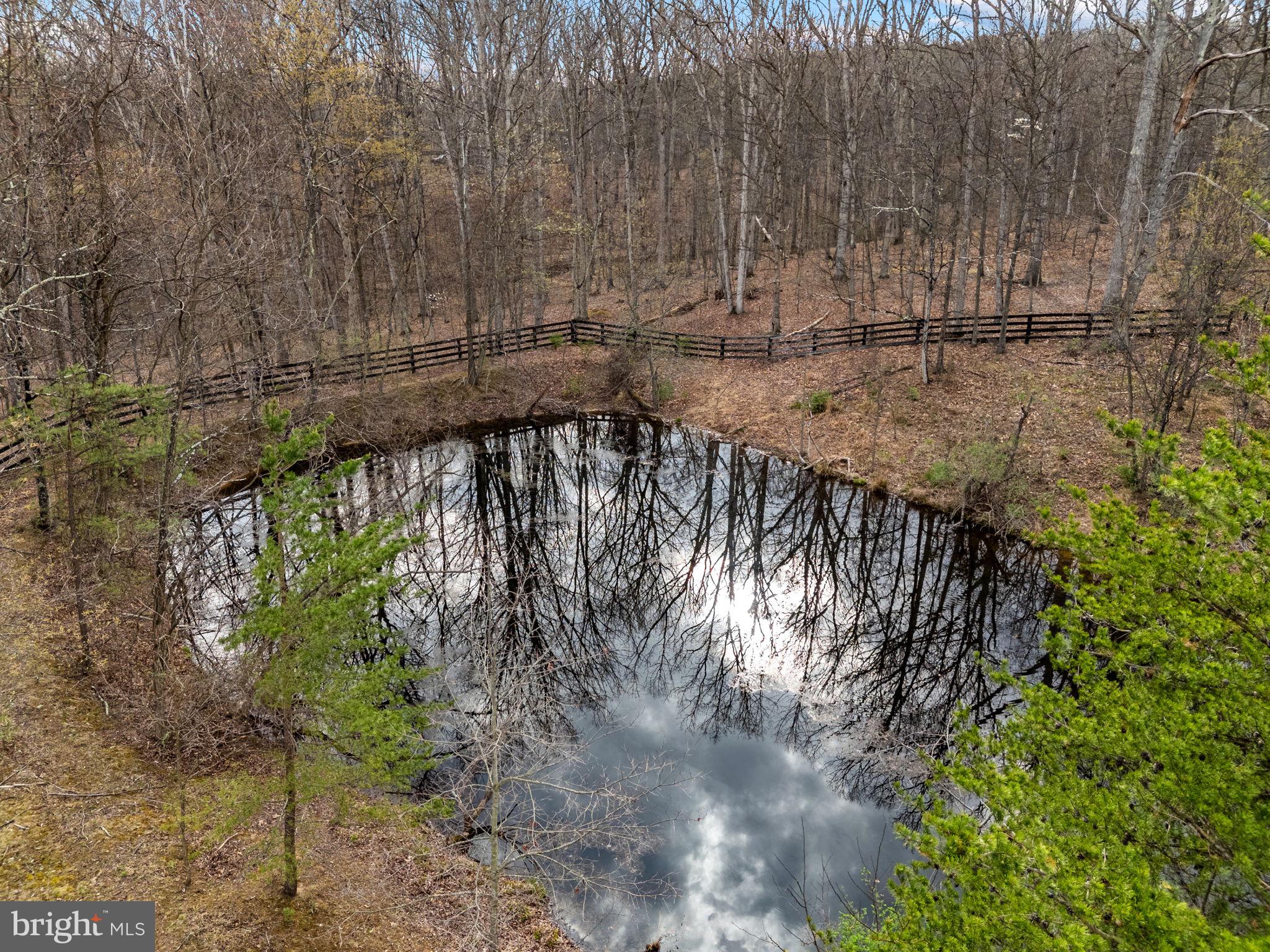 456 Marple Road Winchester, VA 22603 - Photo 75 of 84 Tucked away in a more wooded area of the land