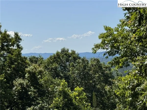 a view of a bunch of trees