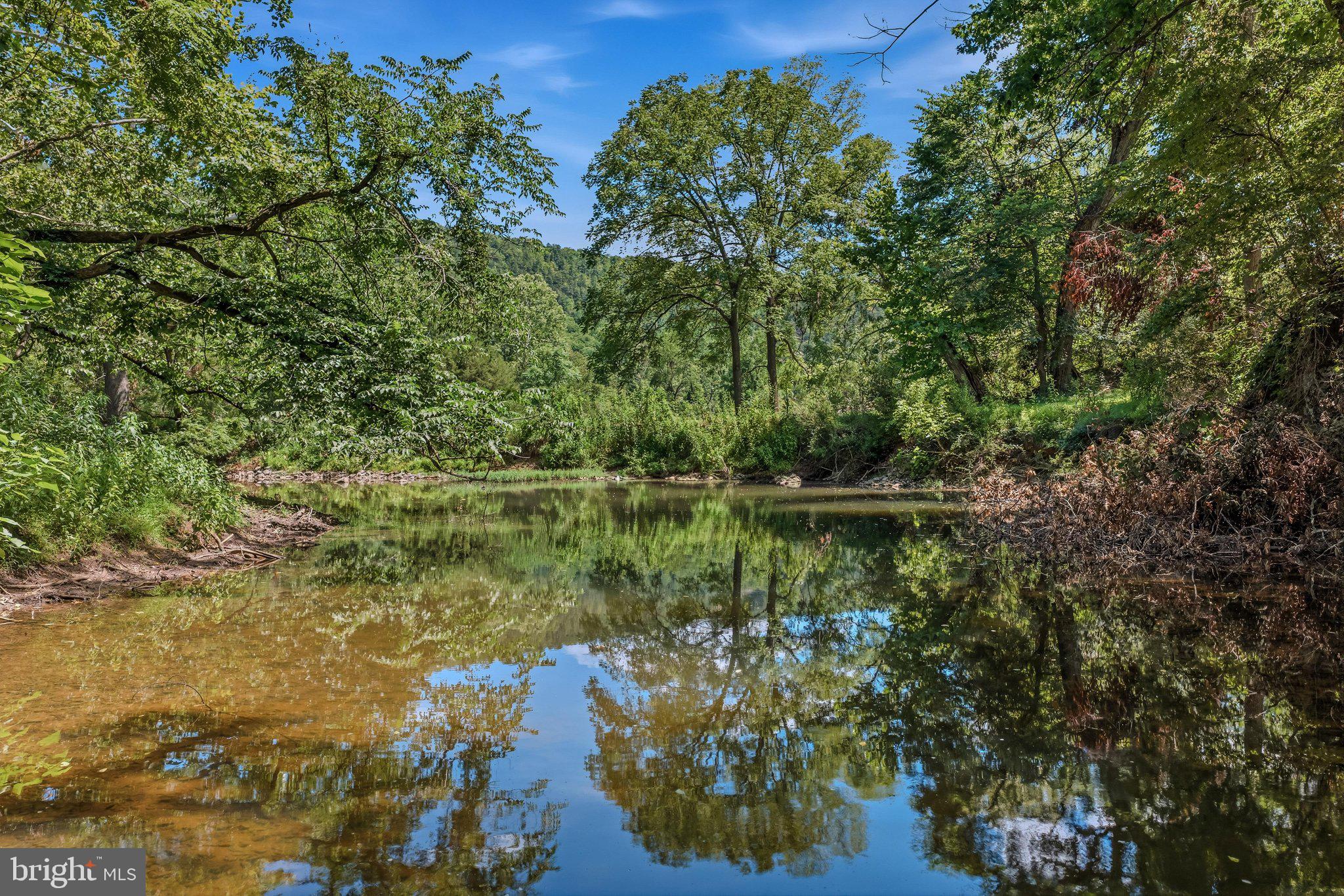 765 Whitetail Crossing Road Augusta, WV 26704 - Photo 55 of 77 Cacapon River