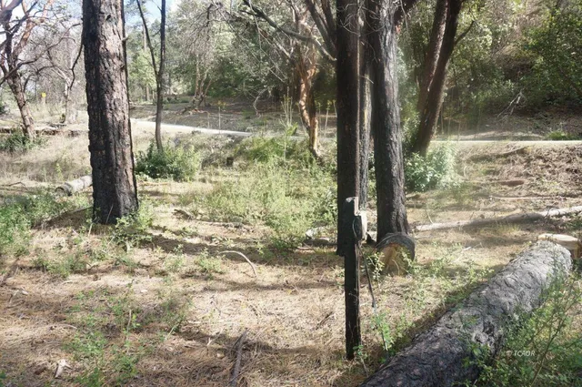 $69,000 | 1600 Lake Road, Junction City, CA 96048