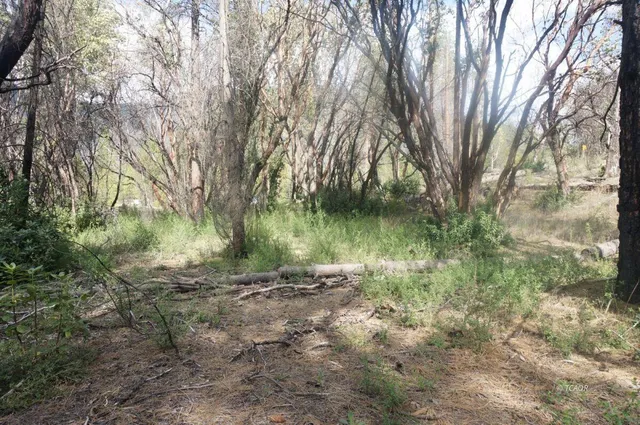 $69,000 | 1600 Lake Road, Junction City, CA 96048