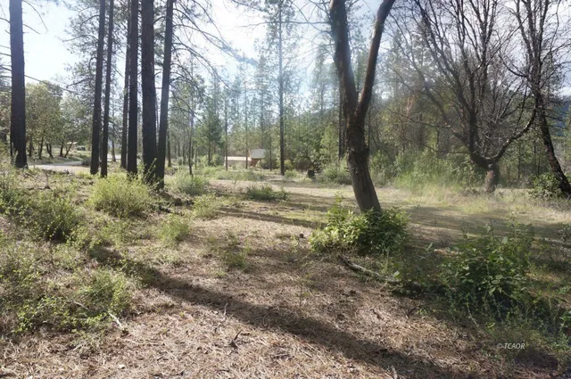 $69,000 | 1600 Lake Road, Junction City, CA 96048